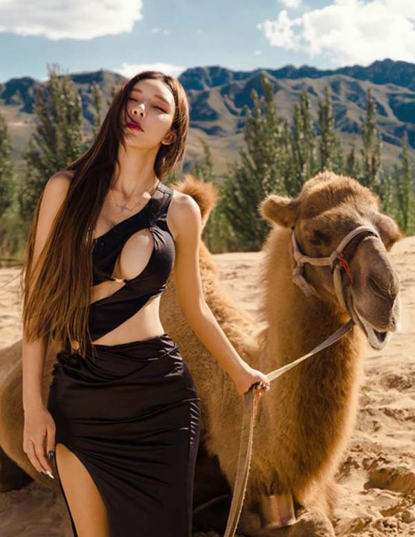 芝加哥商务伴游招聘